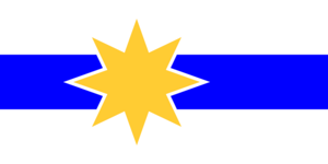 Libertine Party flag